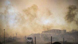 Einsatzkräfte auf Rhodos fürchten erneutes Anfachen des Brands durch Wind