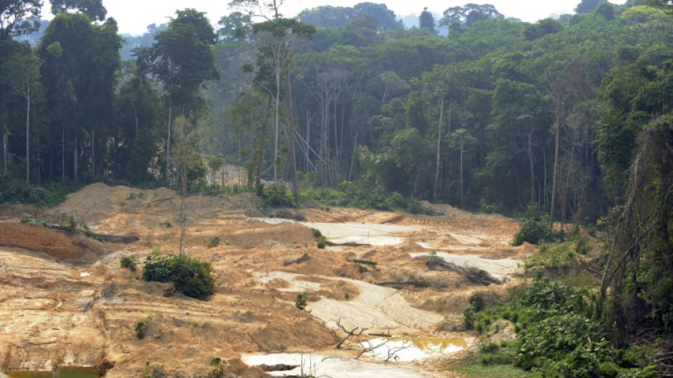 Deforestaci&oacute;n de la Amazon&iacute;a brasile&ntilde;a marca nuevo r&eacute;cord para febrero