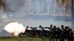 Coups de canon en l'honneur d'Elizabeth II, reine depuis 70 ans