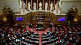 Budget rectificatif: le S&eacute;nat &eacute;vacue d'embl&eacute;e une taxe sur les superprofits