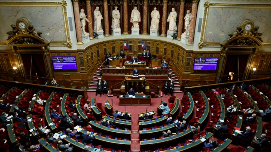 Pouvoir d'achat: le budget rectificatif au S&eacute;nat avec la taxe sur les "superprofits"