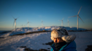Los criadores de renos de Laponia en guerra contra los parques eólicos