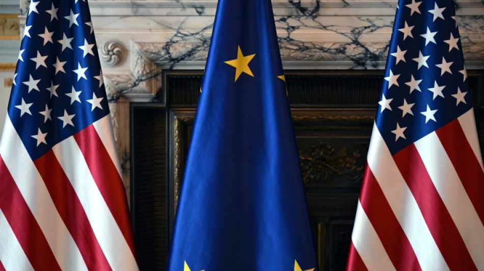  Trump tamed after US midterms? Europe doubts it 