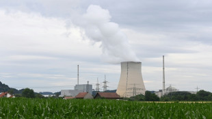 Lemke: Atommüll bleibt auch nach Abschaltung der letzten drei Kraftwerke gefährlich