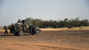Niger: 21 morts dans l'attaque d'un bus et d'un camion pr&egrave;s du Burkina