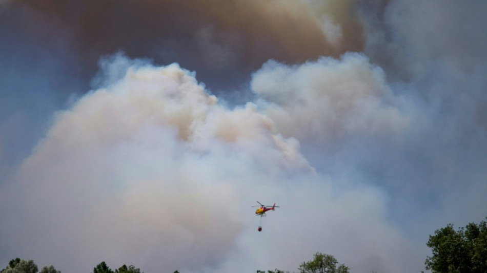  Zw&ouml;lf Tote bei Waldbrand in Andalusien - Wom&ouml;glich Stromleitung verantwortlich 
