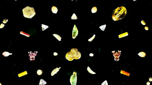 Sotheby's postpones historical gems auction after India backlash