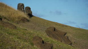 Neue geheimnisvolle Moai-Steinstatue auf Osterinsel gefunden