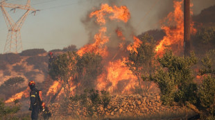 Waldbr&auml;nde w&uuml;ten in Westt&uuml;rkei und auf Kreta - ein Todesopfer nahe Izmir