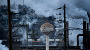 Trump greenlights Nippon Steel 'partnership' with US Steel