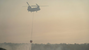 Chypre: deux morts dans un feu de for&ecirc;t attis&eacute; par la chaleur