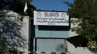 Afghanistan: deux cha&icirc;nes de t&eacute;l&eacute;vision cessent de montrer des &ecirc;tres vivants