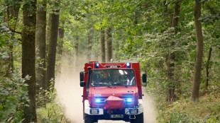 Waldbrand bei Jüterbog in Brandenburg breitet sich laut Behörden aus