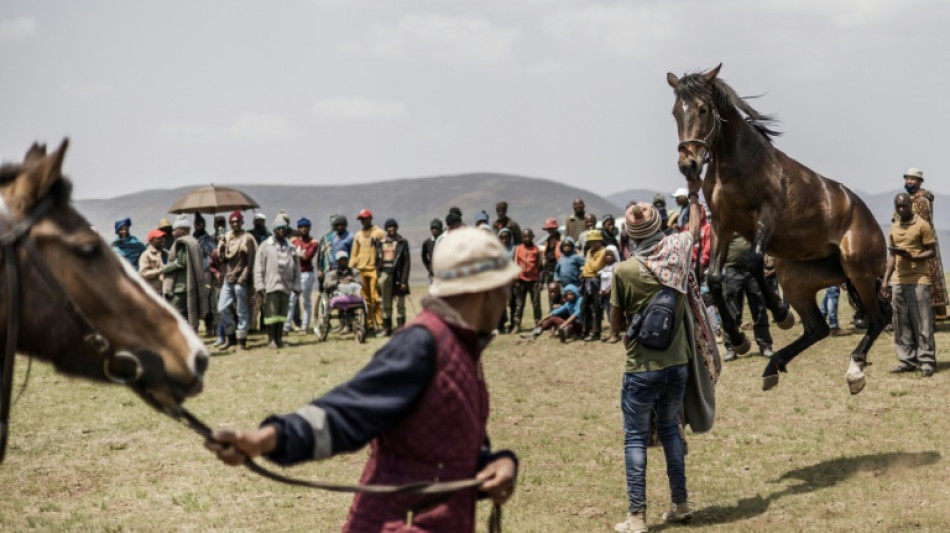 Au Lesotho, les folles courses &agrave; cheval dans les montagnes