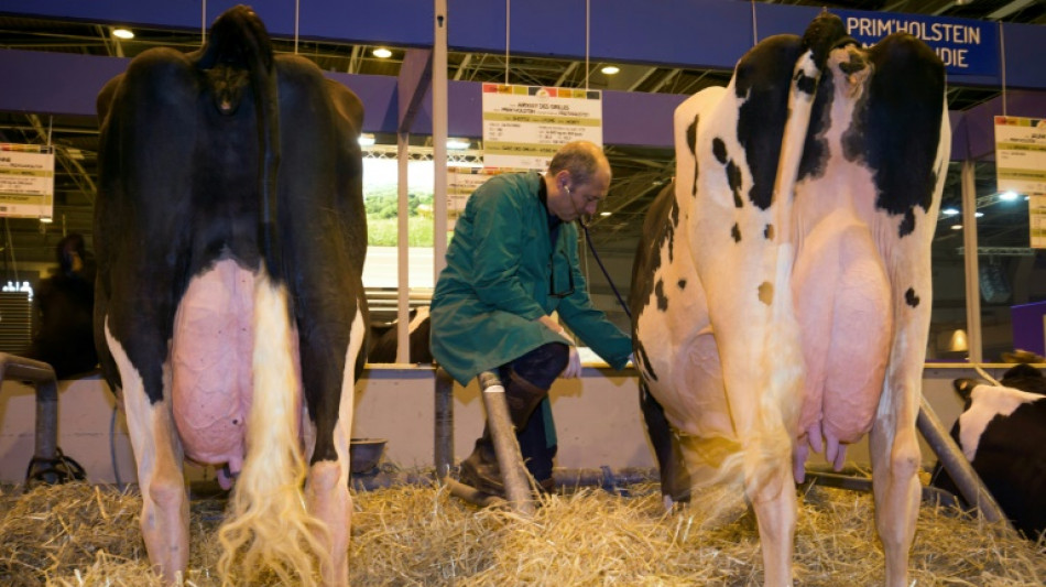 De moins en moins d'antibiotiques dans les élevages, pas chez les animaux de compagnie
