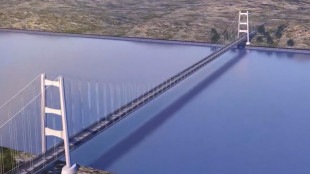 Ambientalisti, ricorso su ponte Stretto 'prematuro', ma non respinto dal Tar