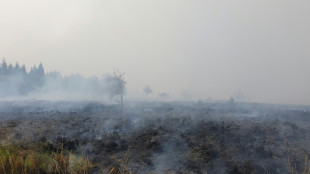 Waldbrand in Belgien nahe Deutschland hat 3000 Hektar Land zerst&ouml;rt