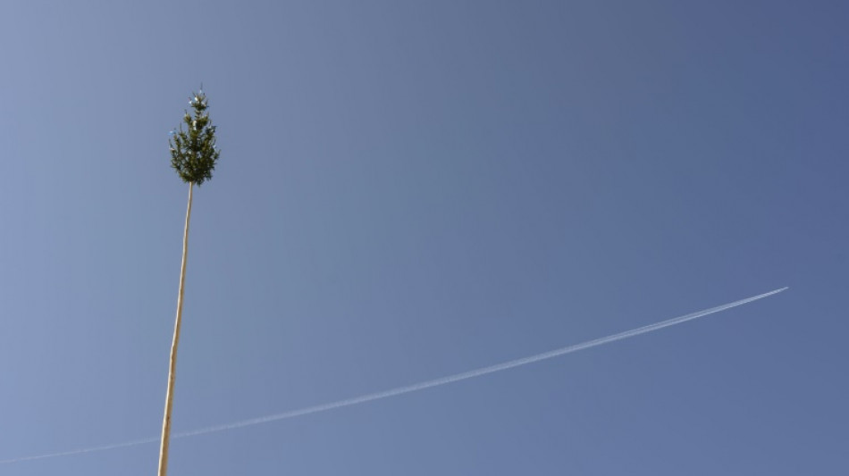 Maibaum st&uuml;rzt in Menschenmenge: F&uuml;nf Verletzte in Nordhein-Westfalen 