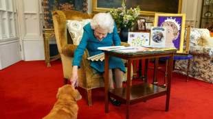 Prinz Andrew adoptiert verwaiste Corgis der Queen