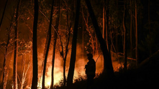 Feuerwehr dämmt zwei große Waldbrände in Portugal nach mehreren Tagen ein