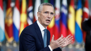 Nato-Plan: Berlin sieht 100 Milliarden Euro für die Ukraine skeptisch