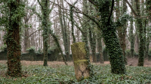 El "cementerio de los locos" de Praga esconde leyendas bajo la hiedra

