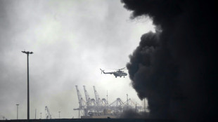 14 Tote und 750 Verletzte bei Explosion in iranischem Hafen an Stra&szlig;e von Hormus