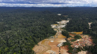 Desmatamento na Amazônia brasileira cai 68% em abril