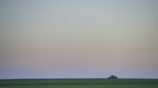 Bundesgerichtshof: Patient darf Hausarzt Grundstück versprechen