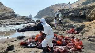 "¿De qué vamos a vivir ahora?", se preguntan pescadores afectados por el derrame petrolero en Perú