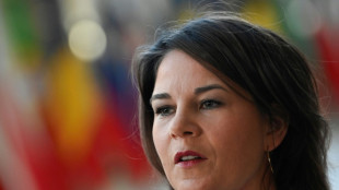 Außenministerin Baerbock reist zu Moldau-Konferenz nach Paris
