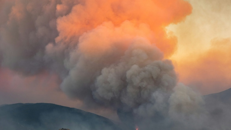  Thousands flee raging wildfires in southern Europe 