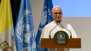 El papa denuncia las trabas burocr&aacute;ticas a la ayuda humanitaria