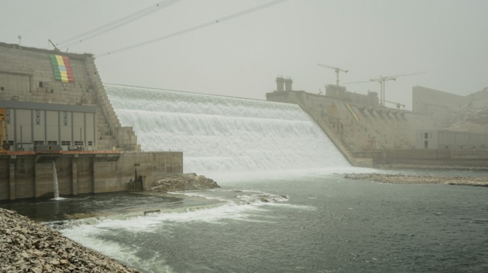 Äthiopien nimmt mit Nil-Anrainerstaaten Gespräche über Mega-Staudamm wieder auf