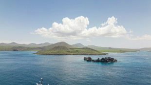 Greenpeace pide crear reserva marina mundial en altamar junto a Galápagos