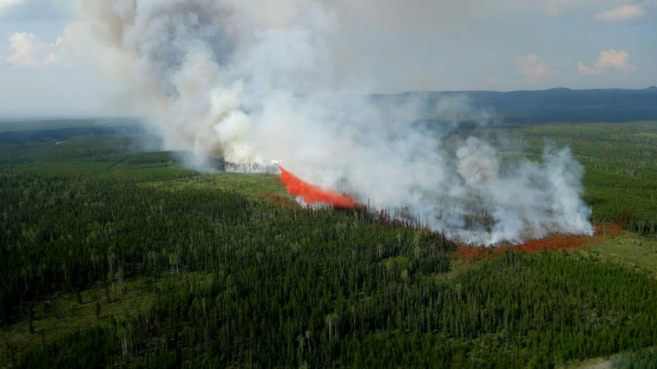 Les m&eacute;gafeux de for&ecirc;t canadiens ont &eacute;mis l'&eacute;quivalent de plus d'un milliard de tonnes de CO2