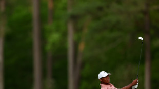 J&auml;ger mit m&auml;&szlig;igem Auftakt - Woods von Dunkelheit gestoppt