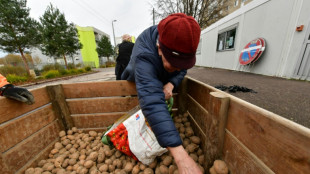 Erzeugerpreise f&uuml;r landwirtschaftliche Produkte im Oktober sp&uuml;rbar gestiegen