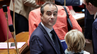 Ing&eacute;rences: Lecornu &eacute;voque des "menaces lourdes" sur la pr&eacute;sidentielle