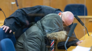 L'heure du verdict en Allemagne pour un m&eacute;decin syrien accus&eacute; de tortures sous Assad