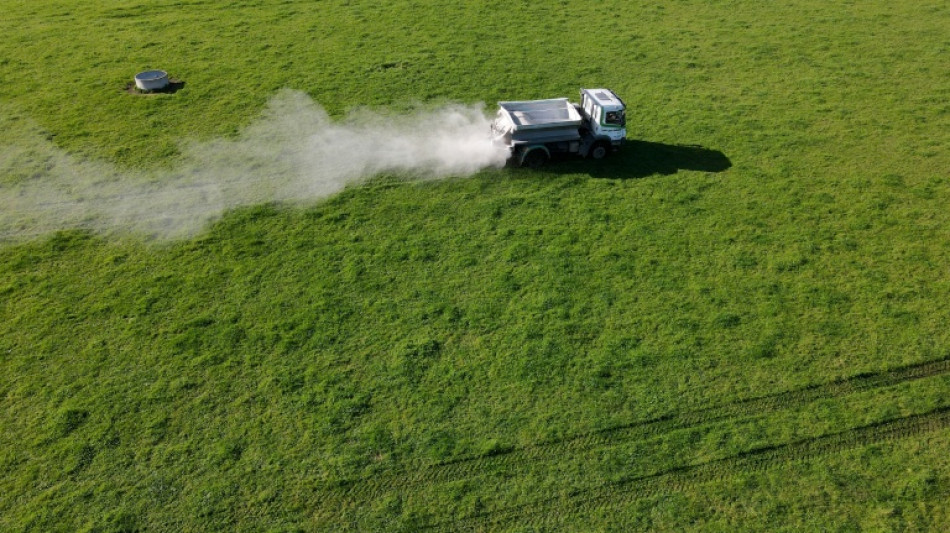  Top WTO official sounds fertiliser warning over Middle East war 