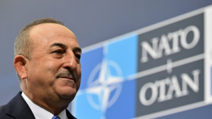 Nato-Beitrittspl&auml;ne Finnlands und Schwedens bestimmen informelles Ministertreffen