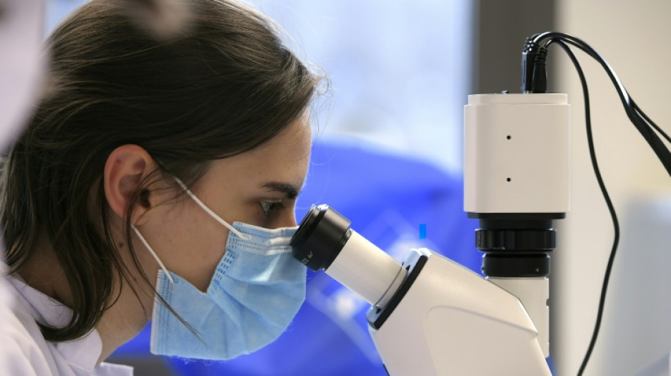 Branchenverband: Umsatz der Pharmaindustrie wächst 2025 deutlich um 2,5 Prozent