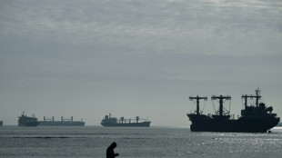 Ukraine: les cargos c&eacute;r&eacute;aliers clou&eacute;s aux ports apr&egrave;s les exigences de Moscou