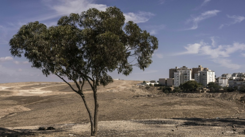  Isra&euml;l : une ville du d&eacute;sert &agrave; l'&eacute;preuve de l'expansion ultra-orthodoxe avant les l&eacute;gislatives 