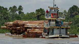 Deforestación en Amazonía brasileña baja en marzo, pero registra récord trimestral