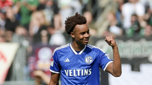 Kurioses Eigentor verhindert Schalke-Sieg