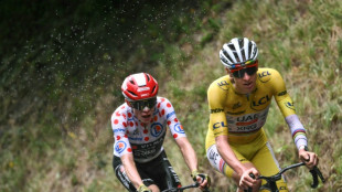 Pogacar leads peloton into Paris for Tour de France climax