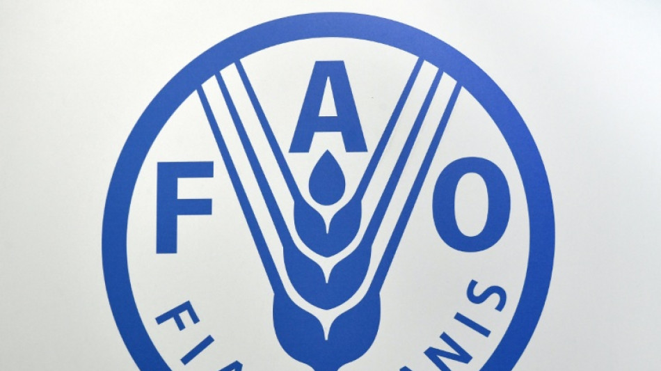  Alto funcion&aacute;rio da FAO diz ter sido afastado por criticar a&ccedil;&otilde;es de Israel em Gaza 