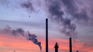 Ifo: Weniger Unternehmen in Deutschland klagen &uuml;ber Auftragsmangel